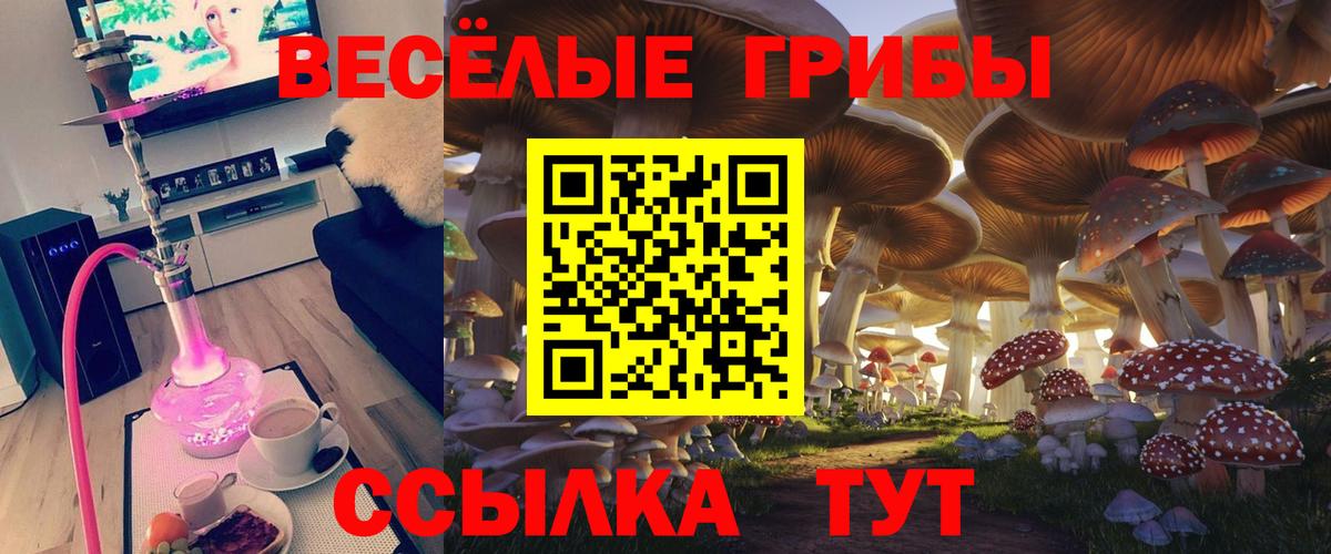 Галлюциногенные грибы Psilocybine cubensis  Вход с VPN  Туапсе 